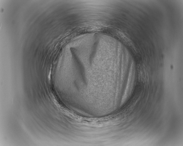 X0000053050026200507251435