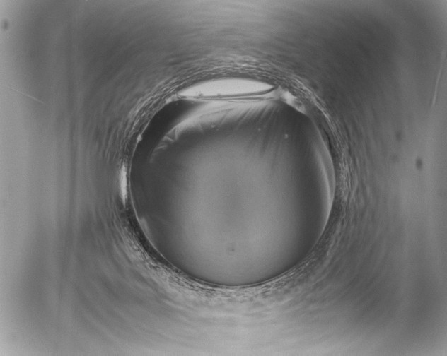 X0000053050027200507251435