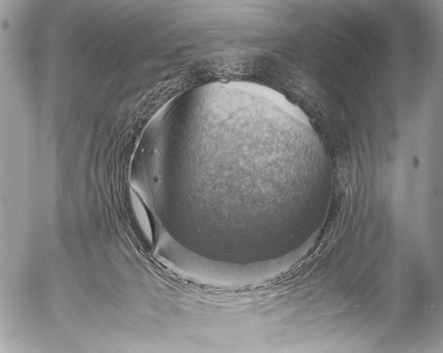 X0000053050029200507251435