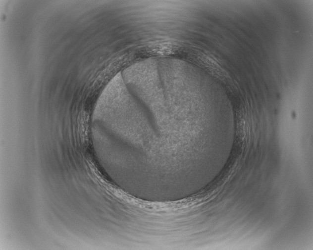 X0000053050030200507251435