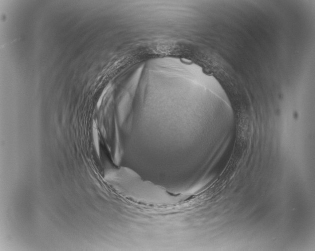 X0000053050031200507251435