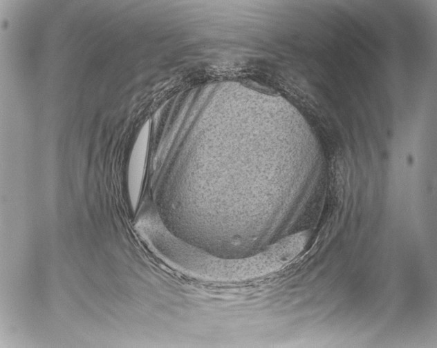 X0000053050033200507251435