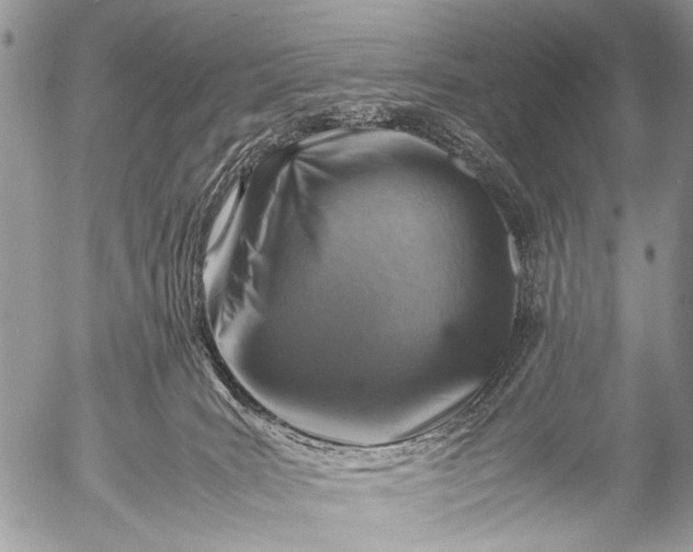 X0000053050035200507251434