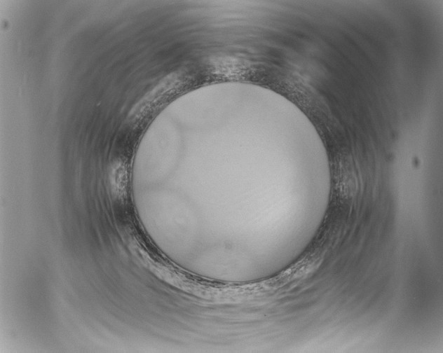 X0000053050036200507251434