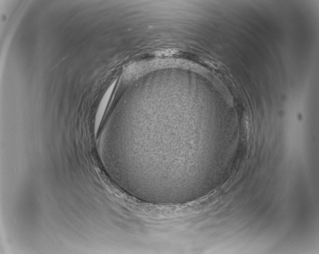 X0000053050037200507251434