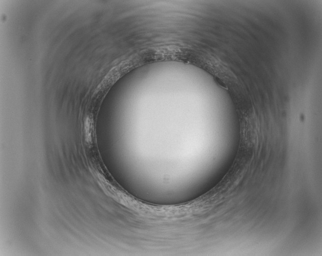 X0000053050038200507251434