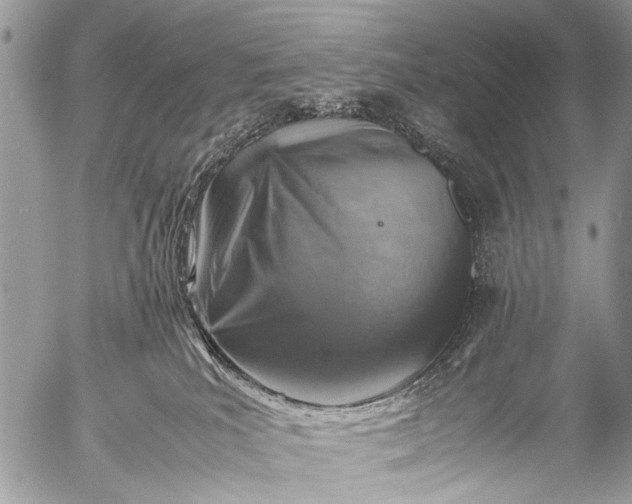 X0000053050039200507251434