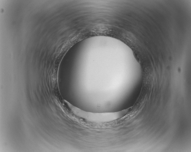 X0000053050040200507251434