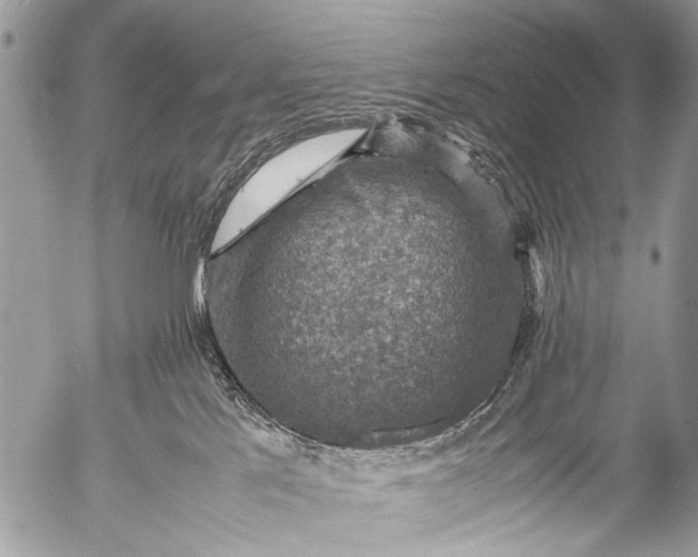 X0000053050041200507251434