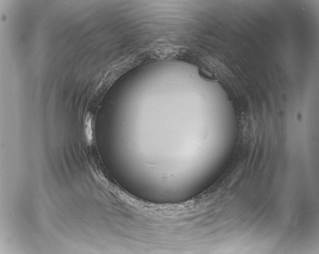 X0000053050042200507251434