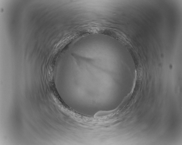 X0000053050043200507251434