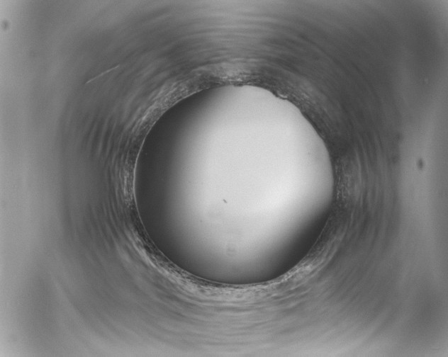 X0000053050044200507251434