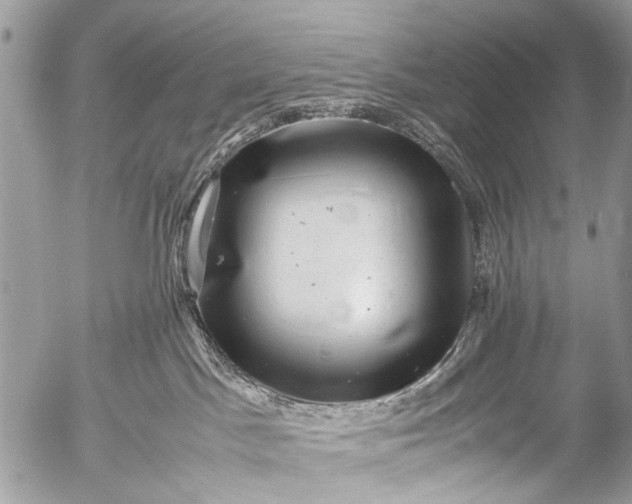 X0000053050045200507251434