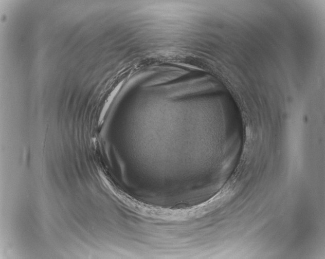 X0000053050048200507251434