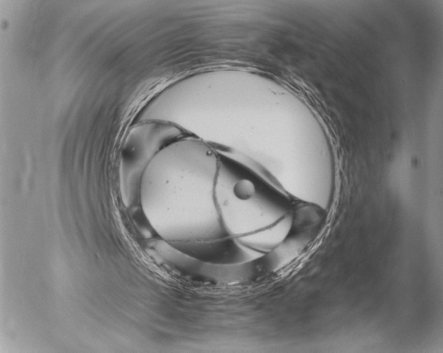 X0000053050049200507251433