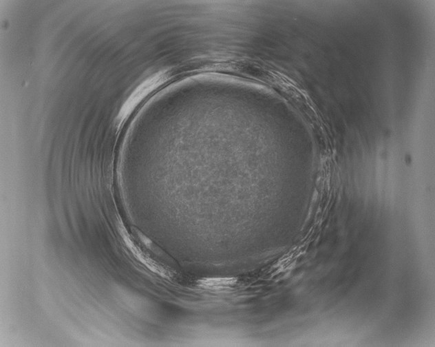 X0000053050051200507251434