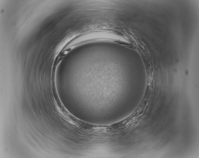 X0000053050052200507251434