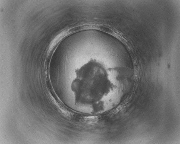 X0000053050053200507251434