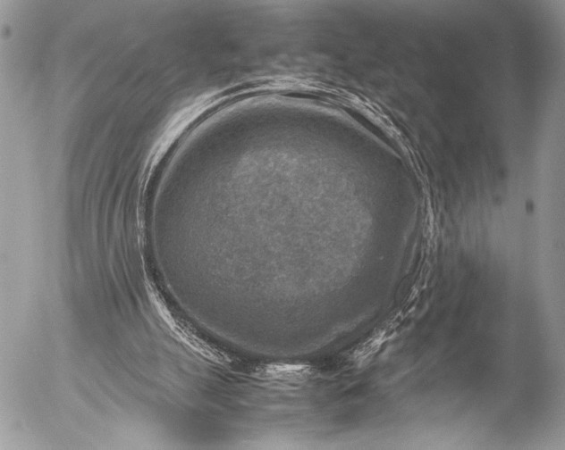 X0000053050055200507251434