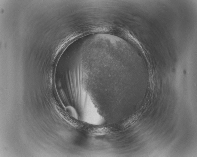 X0000053050059200507251434