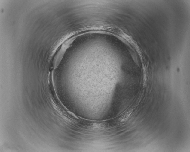 X0000053050060200507251434