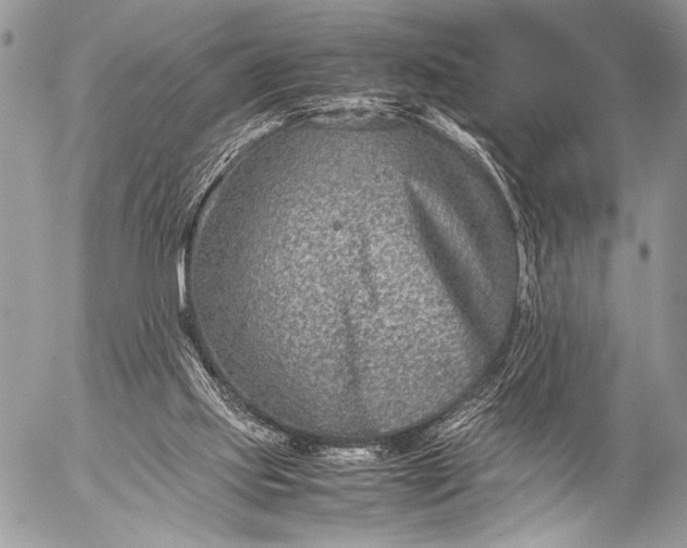 X0000053050061200507251434