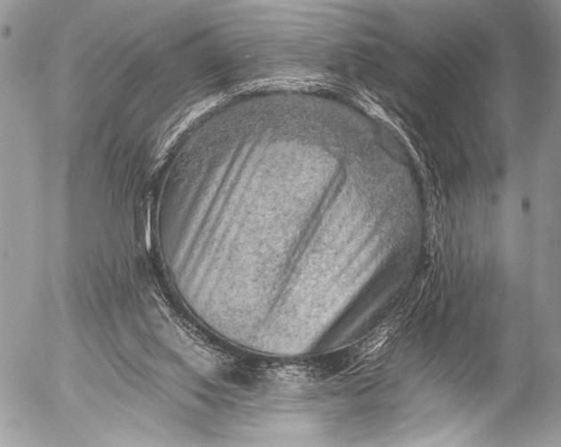 X0000053050062200507251434