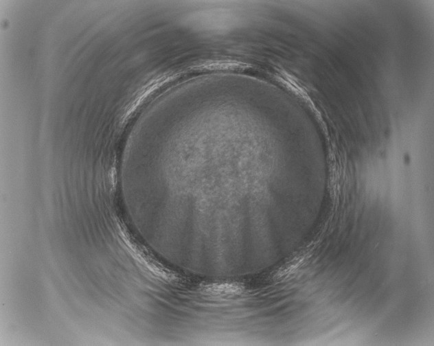 X0000053050063200507251434