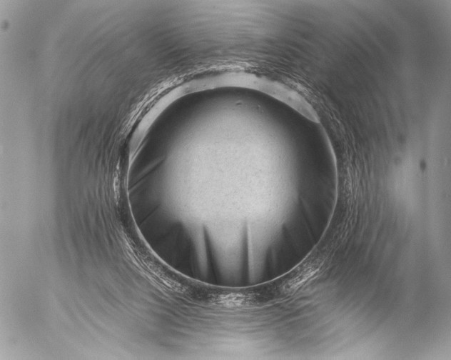 X0000053050064200507251434