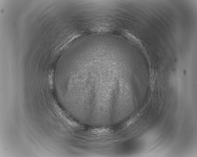 X0000053050065200507251434