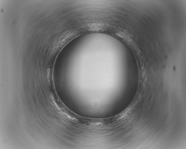 X0000053050066200507251434