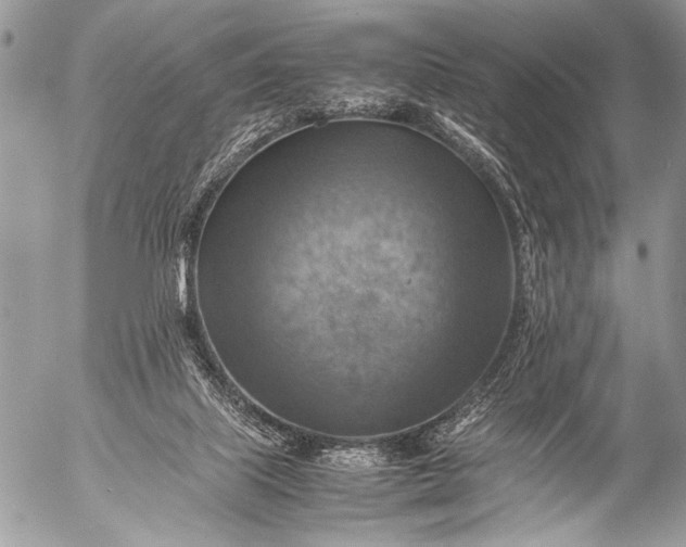 X0000053050067200507251434