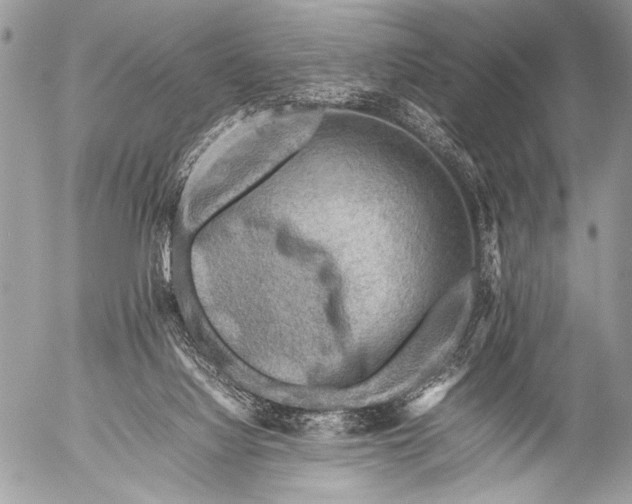 X0000053050068200507251434