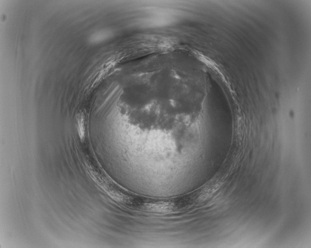 X0000053050069200507251434