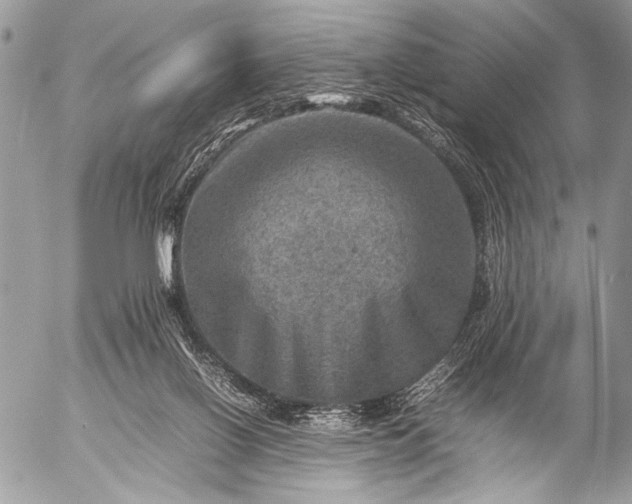 X0000053050070200507251434