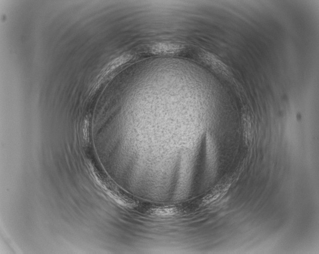 X0000053050071200507251434