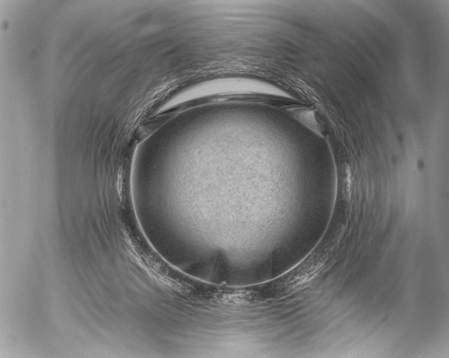 X0000053050072200507251434