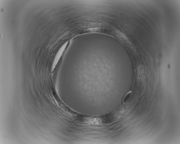 X0000053050073200507251434