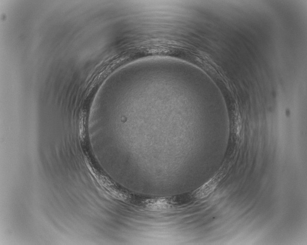 X0000053050074200507251434