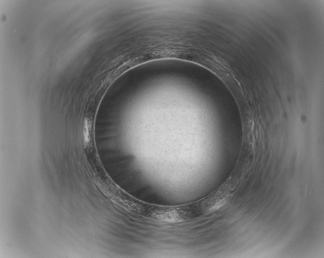 X0000053050075200507251434