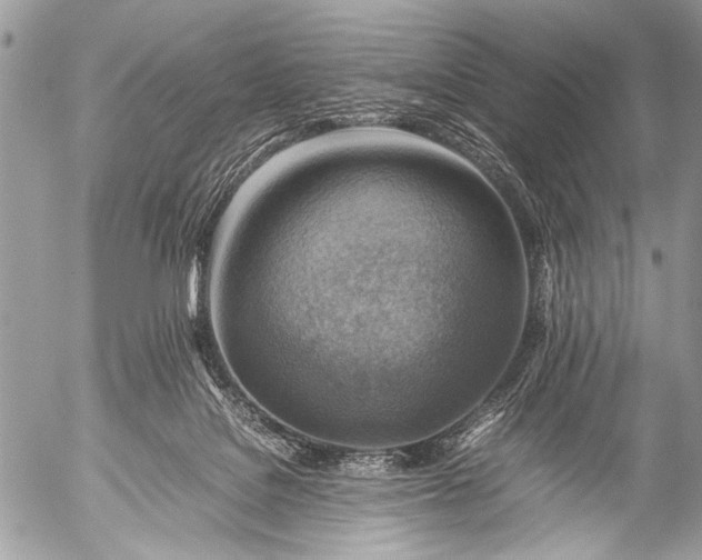 X0000053050076200507251434