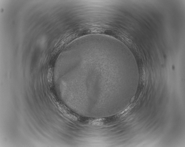 X0000053050078200507251434