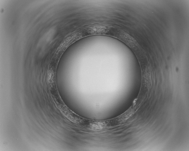 X0000053050079200507251434