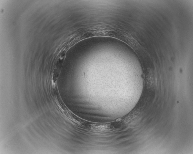 X0000053050081200507251434