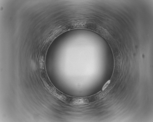 X0000053050083200507251434