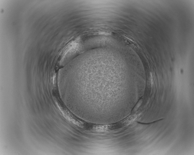 X0000053050084200507251434