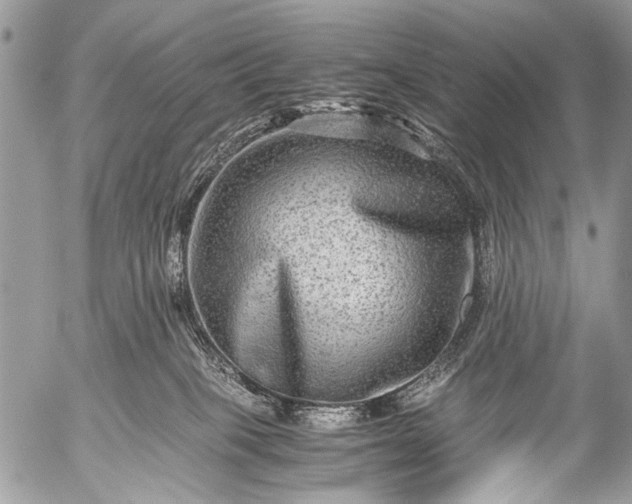 X0000053050085200507251434