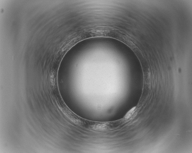 X0000053050086200507251434