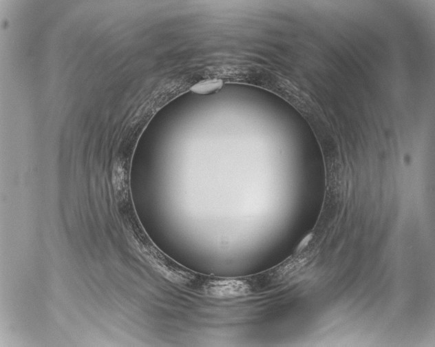 X0000053050087200507251434