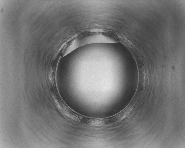 X0000053050088200507251434